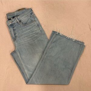 American Eagle Low Rise Baggy Wide Leg Jeans